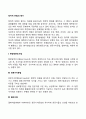 글로벌기업의 정치적 위험의 평가 방법 2페이지