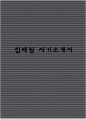 집배원 자기소개서 1페이지