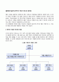 [글로벌기업조직] 현지국 자회사 방식의 장단점 1페이지