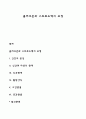 클러크혼과 스트로드벡의 모형 1페이지