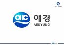 애경의 여성기업 및 기업소개 성공배경가족경영론 1페이지