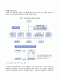 [글로벌기업조직구조] 지역별 기능별 조직 3페이지