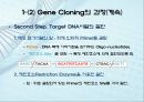 유전자클로닝 관련 레포트자료 9페이지
