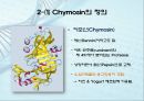 유전자클로닝 관련 레포트자료 13페이지