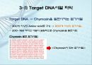 유전자클로닝 관련 레포트자료 17페이지