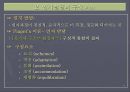 Piaget의 인지발달이론 인지발달4단계  감각운동기 전조작기 구체적조작기 형식적조작기 피아제인지발달이론 4페이지