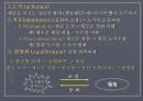 Piaget의 인지발달이론 인지발달4단계  감각운동기 전조작기 구체적조작기 형식적조작기 피아제인지발달이론 5페이지