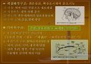 지능이론(생물학적 지능) 7페이지