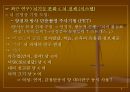 지능이론(생물학적 지능) 9페이지