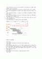A+ [생리학  모성간호학] 낙태 레포트 4페이지