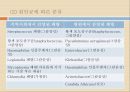 폐렴의 정의 및 치료 (Lung sound 포함) 8페이지