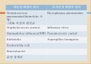 폐렴의 정의 및 치료 (Lung sound 포함) 9페이지