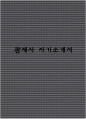 관세사 자기소개서 1페이지