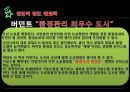 공학윤리-교통사고와 가로수 보고서 12페이지