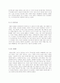 비판적 감상문 - 영화 감상문 - 블랙스완 3페이지