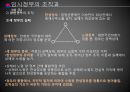 임시정부의 수립임시정부의 조직임시정부의 독립운동임시정부의 헌법임시정부의 주역 20페이지
