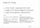 공공조직관리론조직구조정보시스템태스크포스조직 설계기능별 조직구조사업별 조직구조매트릭스 구조 14페이지