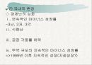 북한의 외교정책외교정책의 변천외교정책의 목표북한 외교정책의 쟁점 6페이지