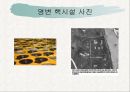 북한의 외교정책외교정책의 변천외교정책의 목표북한 외교정책의 쟁점 13페이지