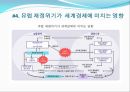 유럽 재정위기유럽 재정위기의 원인유럽 재정위기 한국경제 11페이지