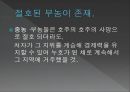조선시대 신분제신분제 해체조선시대의 4신분양반인구의 증가양반계층의 분화 36페이지