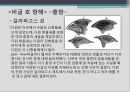 진화론 찰스 다윈차티스트 운동옥스퍼드 운동다윈의 가족다윈 부모의 교육 22페이지