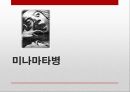 중금속중금속 중독 사례중금속 중독 증상이타이이타이병미나마타병중금속 방지 대첵 12페이지