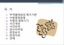 무역클레임수량결정방법수량의 결정 2페이지