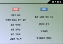 성과관리행위기준고과법(BARS)목표관리(MBO)균형성과표(BSC) 5페이지