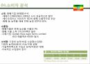 에티오피아 시장농약 사업아프리카 시장에티오피아 정책 5페이지
