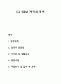 CJ E&M 자기소개서 자소서 1페이지
