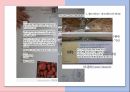 관계 마케팅& 특수 마케팅 7페이지