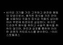 신화와 연극 연극의 기원 학습 자료 18페이지