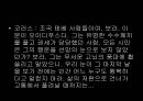 신화와 연극 연극의 기원 학습 자료 28페이지