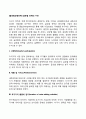 [글로벌경영전략] 글로벌 전략의 수단 2페이지