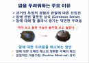 암 걱정 없는 행복한 세상 20페이지