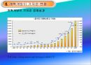 개혁 개방 30여 년 중국의 성장 31페이지
