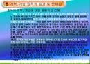 개혁 개방 30여 년 중국의 성장 50페이지