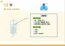 암과 식생활(식생활과 건강) PPT 6페이지
