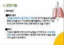 COPD(만성폐쇄성폐질환) 간호과정 PPT A+자료 5페이지