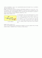 [실험레포트]세차운동 보고서 6페이지
