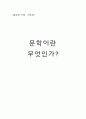 문학이란 무엇인가 - 예술로서의 문학 문학의 허구성 문학의 가치 1페이지