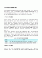 사회복지행정의 전달체계의 분석 2페이지