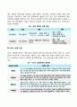 사회복지행정의 전달체계의 분석 3페이지