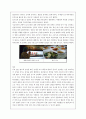 가공학견학보고서김치업 9페이지