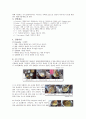 실험조리캔디류 2페이지