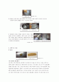 실험조리캔디류 6페이지