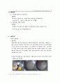 실험조리한천 젤라틴 3페이지