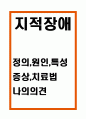 지적장애 정의 원인 특성분석과 지적장애 증상 및 치료법 분석및 나의의견정리 - 지적장애 연구레포트 1페이지