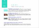위기 관리법위기 관리제도위기관리 체계지방정부의  위기관리재난관리 지휘관리세월호사례 3페이지